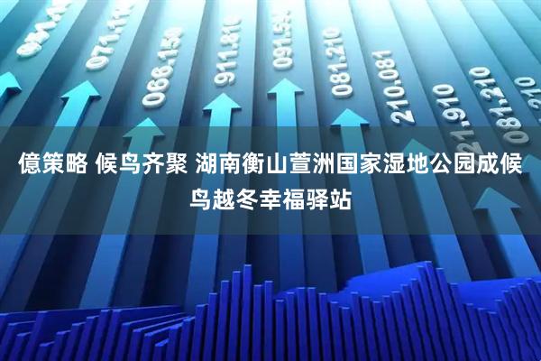 億策略 候鸟齐聚 湖南衡山萱洲国家湿地公园成候鸟越冬幸福驿站
